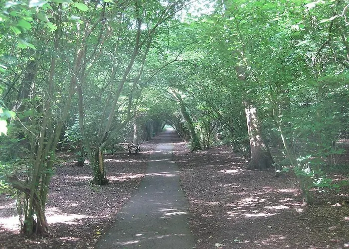 The Hidden Cottage